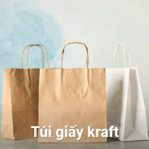 Bao bì túi giấy kraft chuyên nghiệp